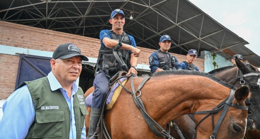 PROTECCIÓN AL CAMPO: ACCIONES Y RESULTADOS EN MATERIA DE SEGURIDAD RURAL DURANTE 2025