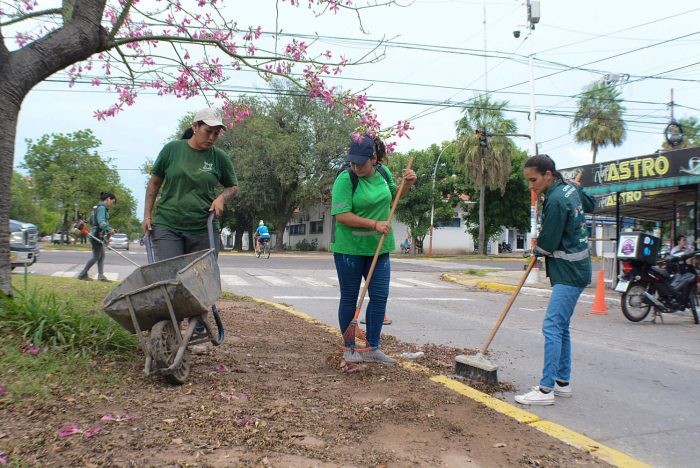 Resistencia: Tareas de desmalezado ejecuta la comuna en avenida Vélez Sarsfield y en la plazoleta “Alto Sabín”