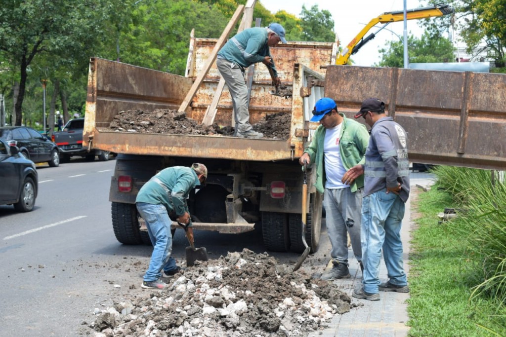 Las paradas de colectivos en mitre del 0 a 100 tendran garitas para la proteccion de los usuarios