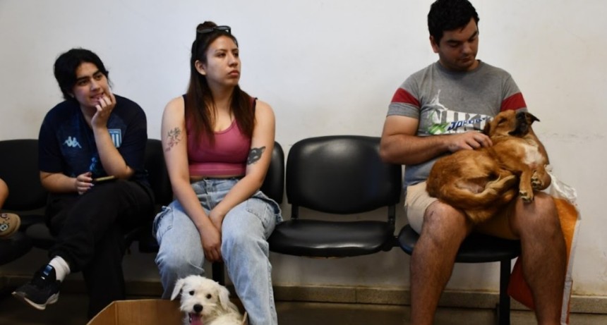 EL MUNICIPIO ANUNCI&Oacute; UN NUEVO SISTEMA DE TURNOS PARA CASTRACIONES DE MASCOTAS EN EL CENTRO VETERINARIO MUNICIPAL