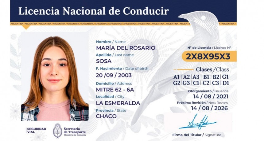 Nueva Licencia de Conducir Nacional: el paso a paso para sacarla y cuánto hay que pagar para hacer el trámite on line
