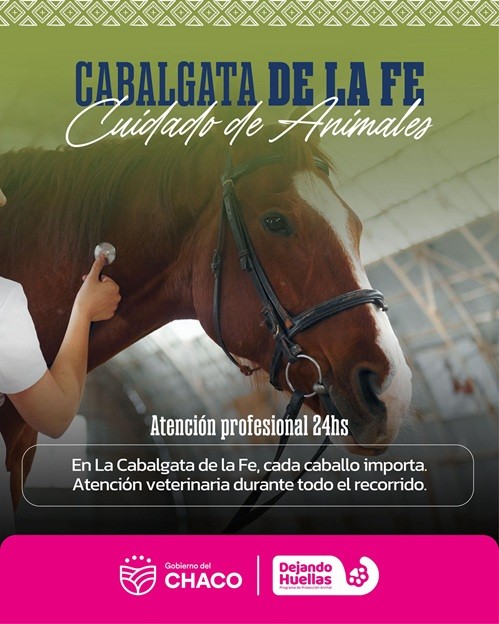 Acompañamos la Cabalgata de la Fe con un plan de protección animal.