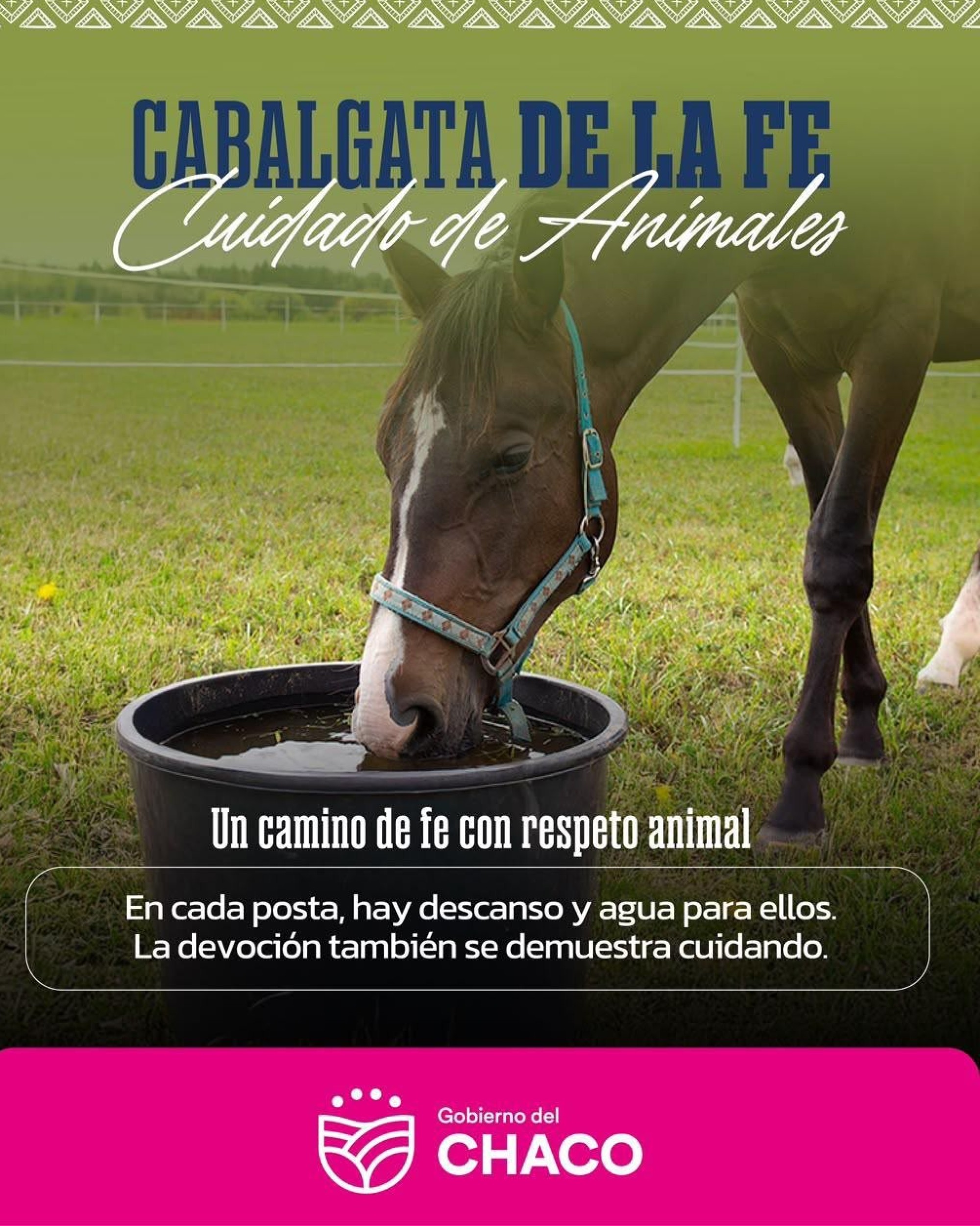 CABALGATA DE LA FE 2026: EL GOBIERNO DEL CHACO REFUERZA EL PLAN DE BIENESTAR ANIMAL PARA PROTEGER A LOS CABALLOS DURANTE LA PEREGRINACI&Oacute;N