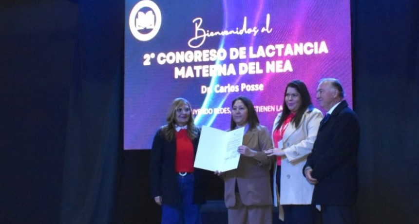 &rdquo;CONSTRUIR REDES QUE SOSTIENEN VIDA&rdquo;: CHACO REUNI&Oacute; A ESPECIALISTAS PARA PROMOVER Y PROTEGER LA LACTANCIA
